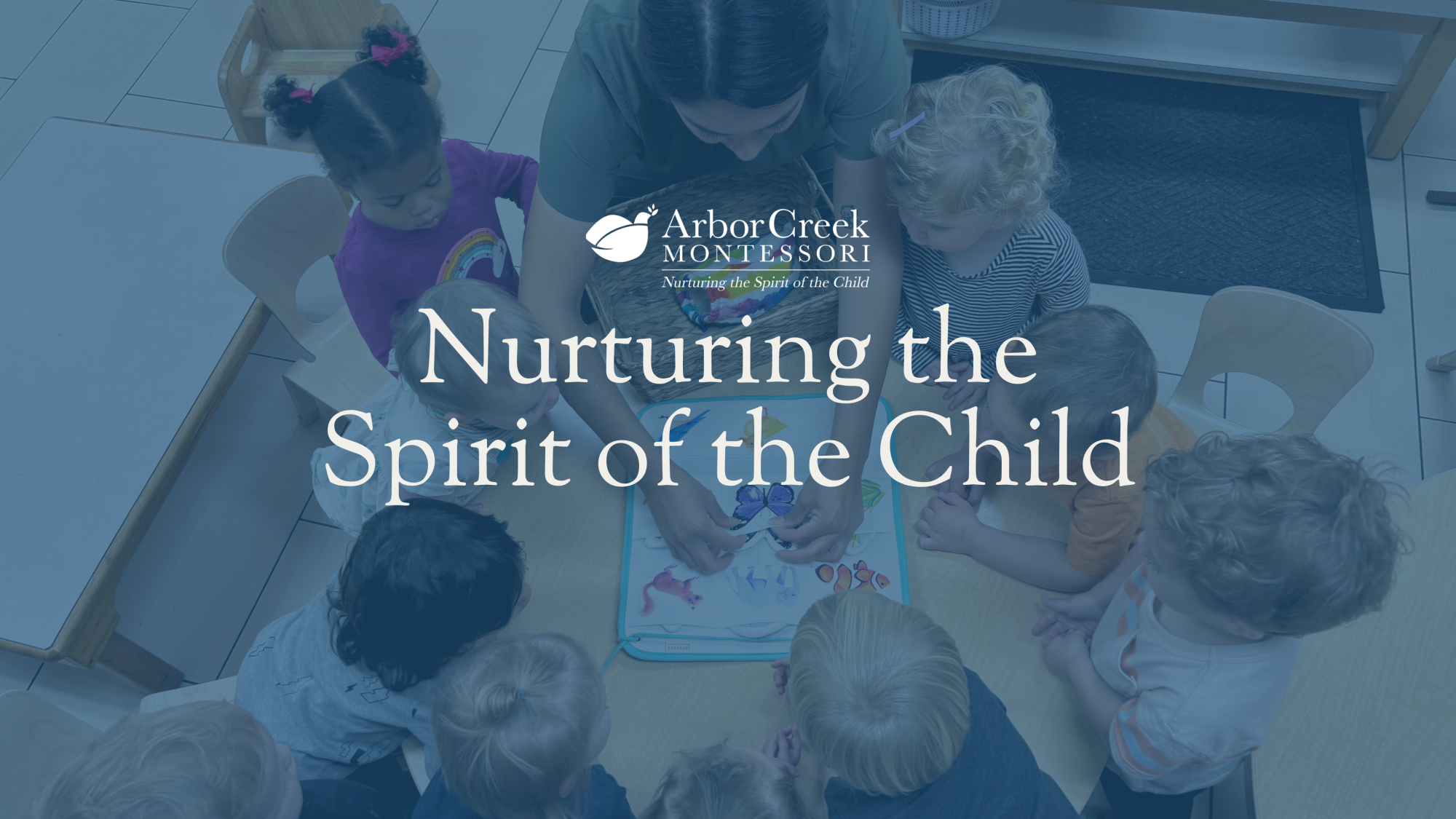 ArborCreek Montessori School